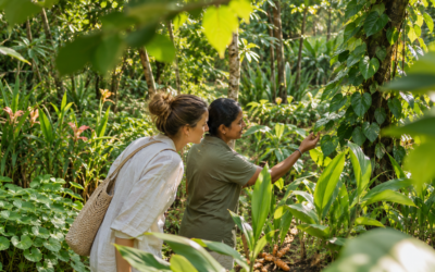 Ayurvedic Herbs in Sri Lanka: Inside a Traditional Herbal Garden